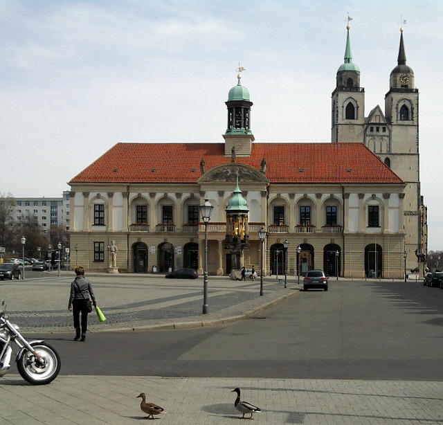 Magdeburg, Marktplatz mit goldenem Reiter  (und Enten) vorm Rathaus (und Johanniskirche)