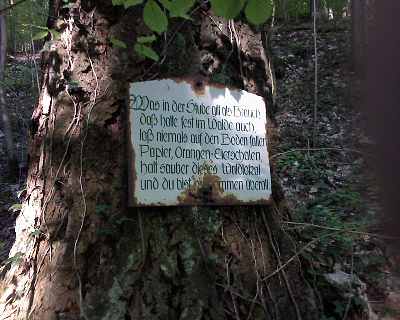 Im Wald bei Guttenberg